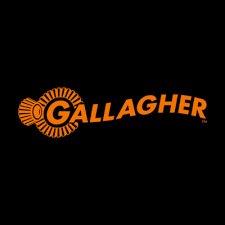 Gallagher.jpg