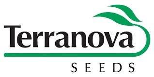 Terranova-Seeds.jpg