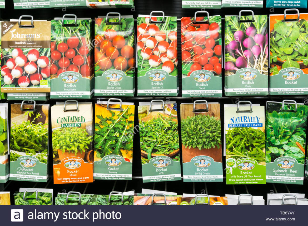 a-display-rack-of-packets-of-mr-fothergills-vegetable-seeds-for-sale-in-a-garden-centre-shop-TB6Y4Y.jpg