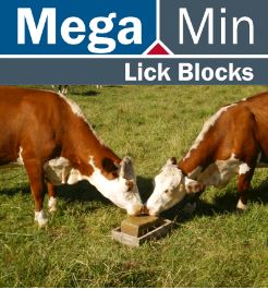 Megamin-Lick-Block.jpg