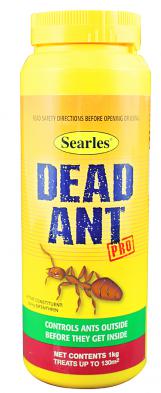 Dead-Ant.jpg