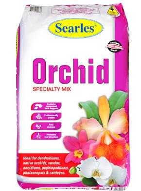 Dendrobium-Orchid-Mix.jpg