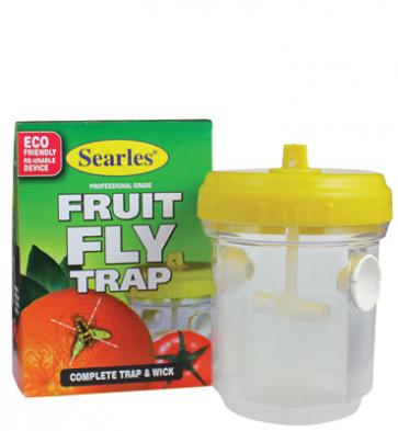 Fruit-Fly-trap.jpg