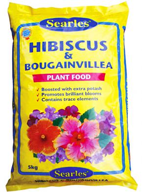 Hibiscus-plant-food.jpg