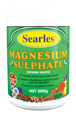 Magnesium-sulphate.jpg