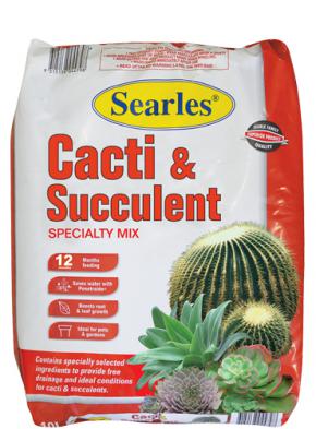 cacti-succulent-mix.jpg