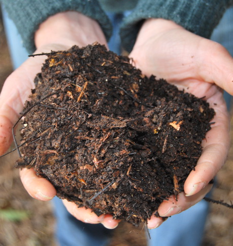 compost_in_hands_portrait_small.jpg