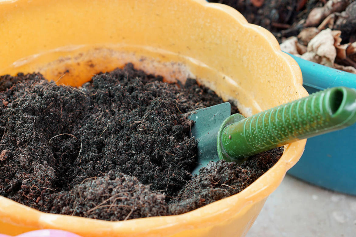 potting-soil-mix-ingredients-1200x800-1.jpg