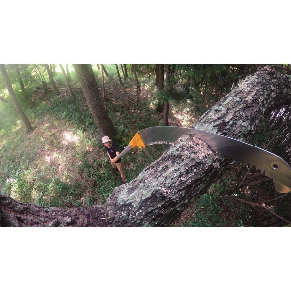 silky_hayate_pole_saw_removing_overhanging_branch_1.jpg